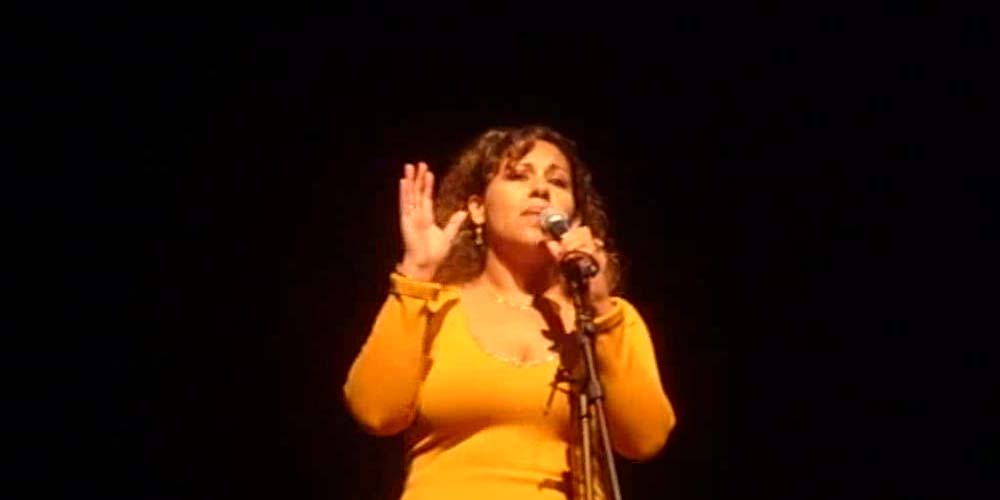 Elizabeth Benitez Los pajaros perdidos